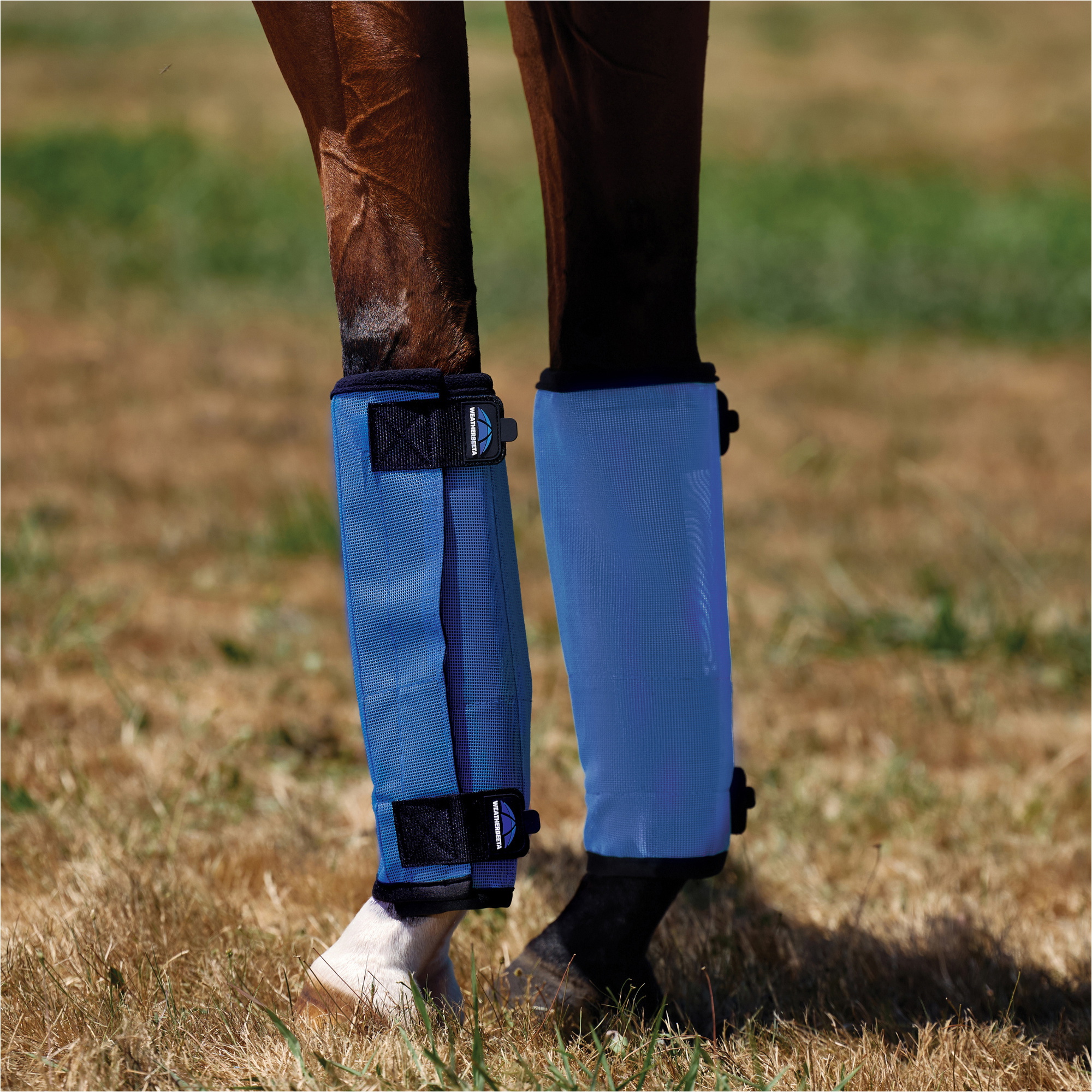 2026 WeatherBeeta Comfitec Dura-Mesh Anti-mouches Wraps 1030085003 - Blue / Black